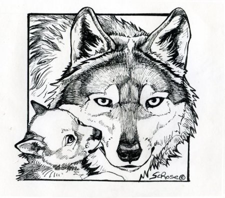  a beautiful black and white drawing of a Mexican wolf mom and pup.